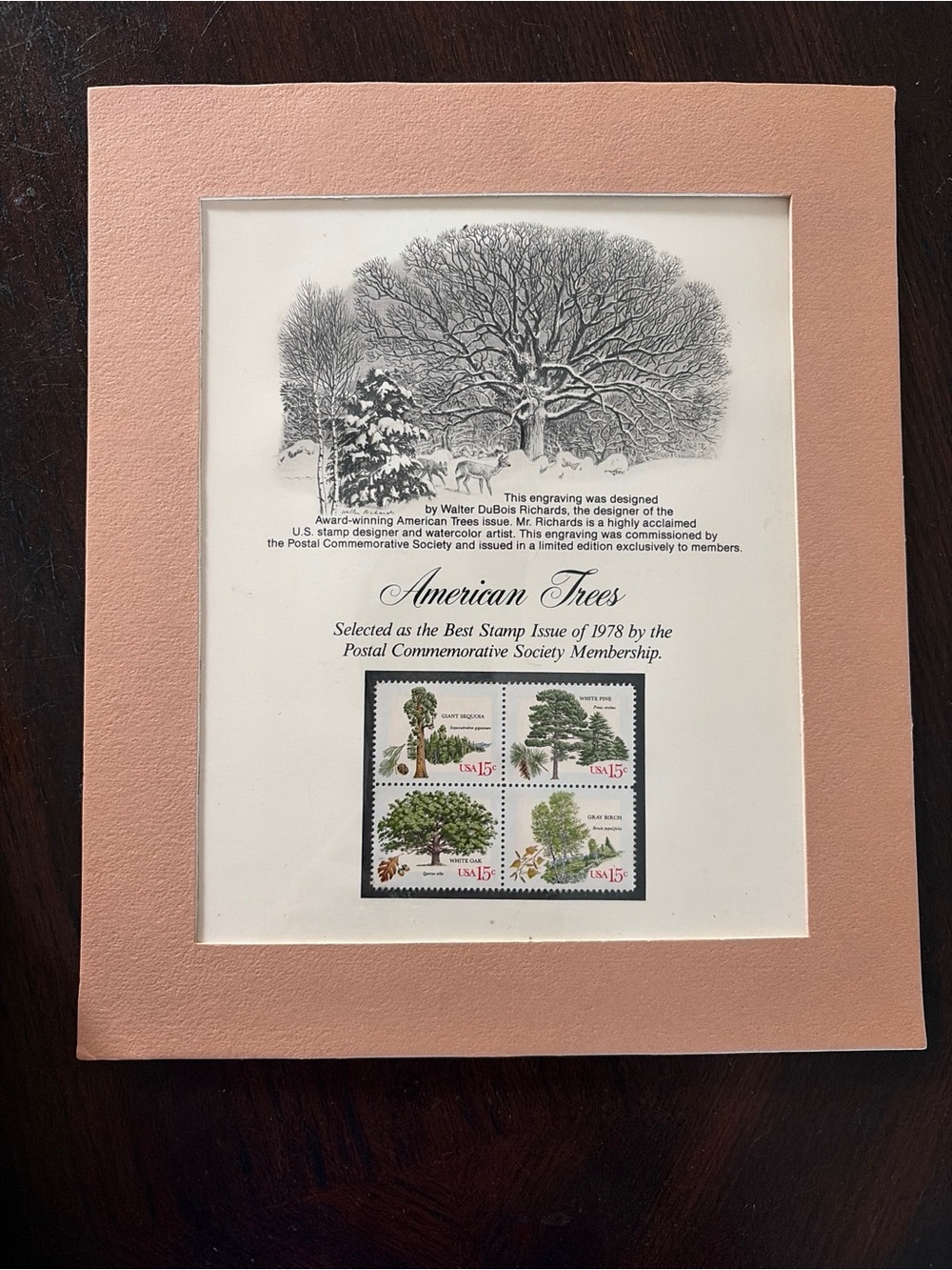 Vintage 1978 Matted American Trees' Stamp Display in Blush Pink